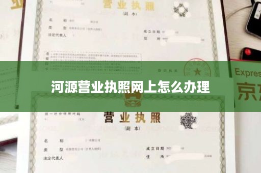 河源营业执照网上怎么办理