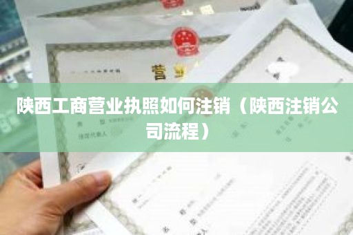 陕西工商营业执照如何注销（陕西注销公司流程）