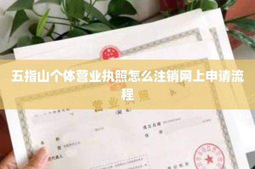 五指山个体营业执照怎么注销网上申请流程