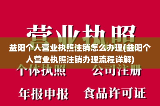 益阳个人营业执照注销怎么办理(益阳个人营业执照注销办理流程详解)