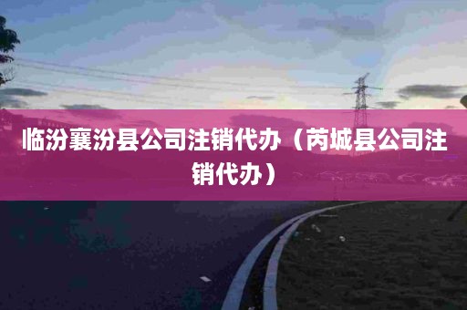 临汾襄汾县公司注销代办（芮城县公司注销代办）