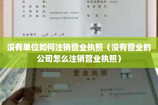 没有单位如何注销营业执照（没有营业的公司怎么注销营业执照）