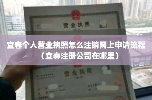 宜春个人营业执照怎么注销网上申请流程（宜春注册公司在哪里）