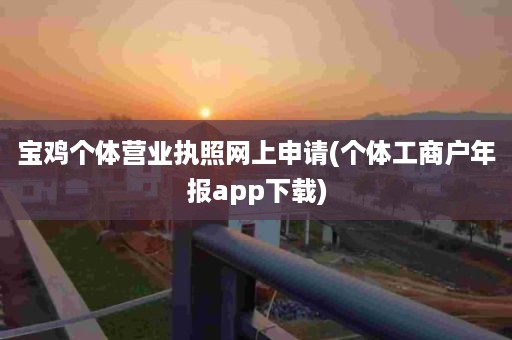 宝鸡个体营业执照网上申请(个体工商户年报app下载)