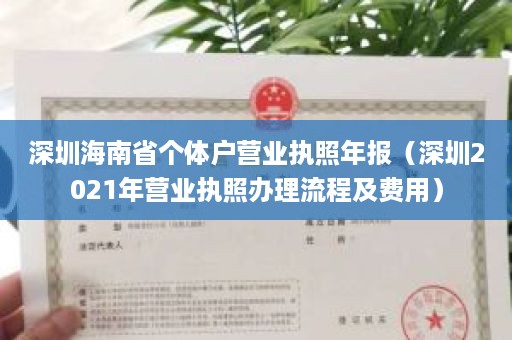 深圳海南省个体户营业执照年报（深圳2021年营业执照办理流程及费用）