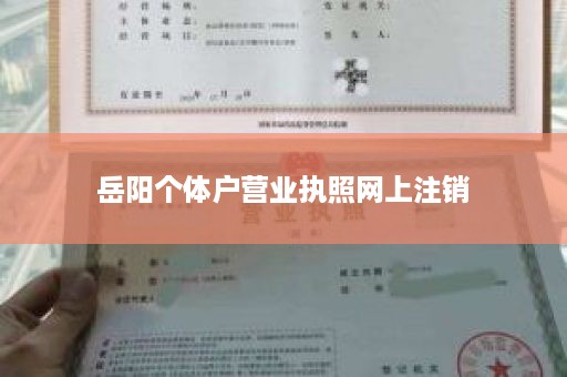 岳阳个体户营业执照网上注销