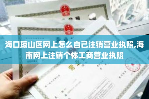 海口琼山区网上怎么自己注销营业执照,海南网上注销个体工商营业执照