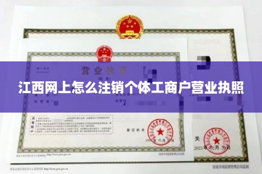 江西网上怎么注销个体工商户营业执照