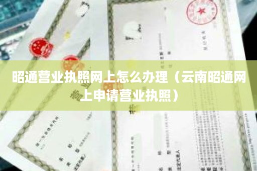 昭通营业执照网上怎么办理（云南昭通网上申请营业执照）