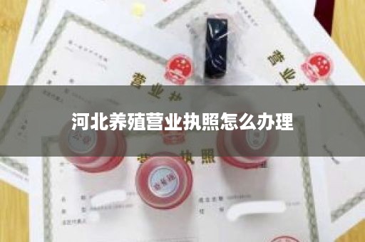 河北养殖营业执照怎么办理