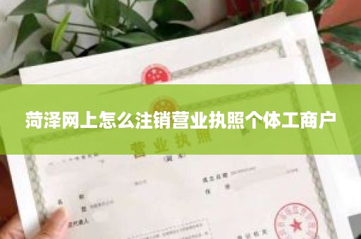 菏泽网上怎么注销营业执照个体工商户