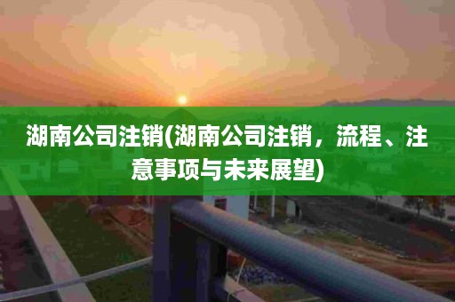 湖南公司注销(湖南公司注销，流程、注意事项与未来展望)