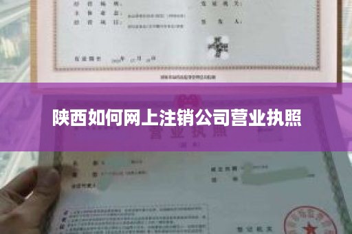 陕西如何网上注销公司营业执照