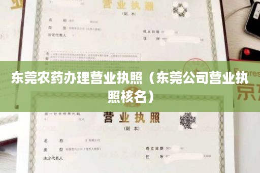 东莞农药办理营业执照（东莞公司营业执照核名）