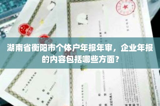 湖南省衡阳市个体户年报年审，企业年报的内容包括哪些方面？