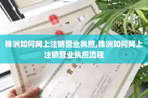 株洲如何网上注销营业执照,株洲如何网上注销营业执照流程