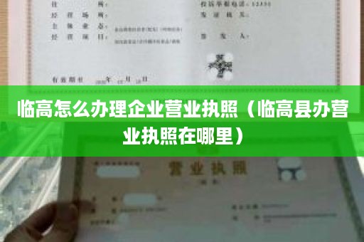 临高怎么办理企业营业执照（临高县办营业执照在哪里）