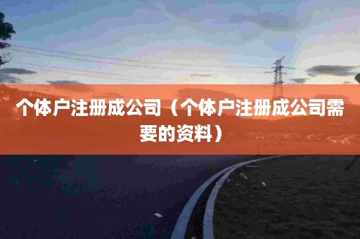 个体户注册成公司（个体户注册成公司需要的资料）