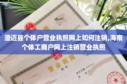 澄迈县个体户营业执照网上如何注销,海南个体工商户网上注销营业执照