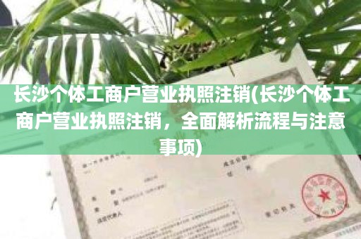 长沙个体工商户营业执照注销(长沙个体工商户营业执照注销，全面解析流程与注意事项)