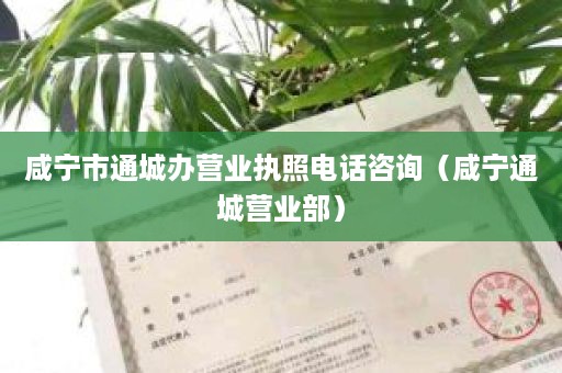 咸宁市通城办营业执照电话咨询（咸宁通城营业部）