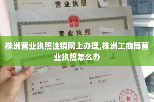 株洲营业执照注销网上办理,株洲工商局营业执照怎么办