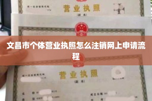 文昌市个体营业执照怎么注销网上申请流程