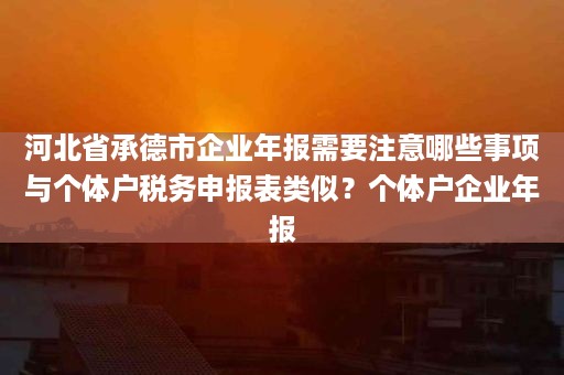 河北省承德市企业年报需要注意哪些事项与个体户税务申报表类似？个体户企业年报