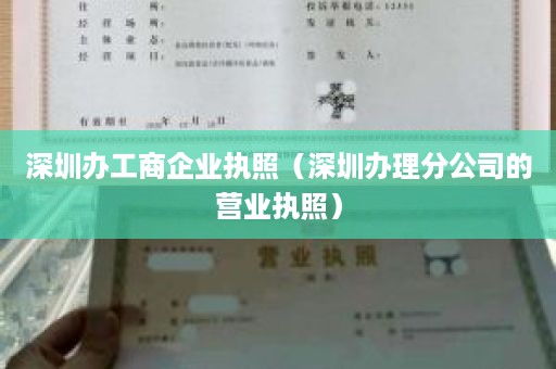 深圳办工商企业执照（深圳办理分公司的营业执照）