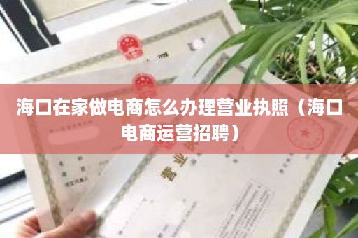 海口在家做电商怎么办理营业执照（海口电商运营招聘）