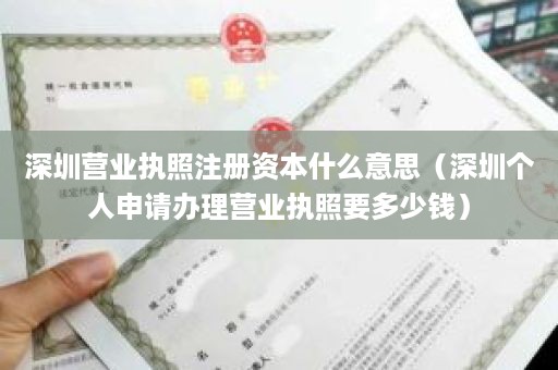 深圳营业执照注册资本什么意思（深圳个人申请办理营业执照要多少钱）