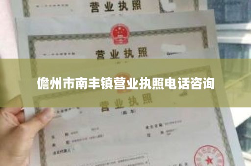 儋州市南丰镇营业执照电话咨询