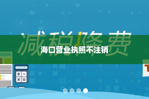 海口营业执照不注销