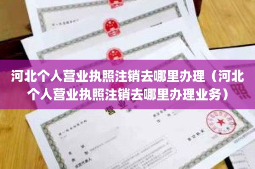 河北个人营业执照注销去哪里办理（河北个人营业执照注销去哪里办理业务）