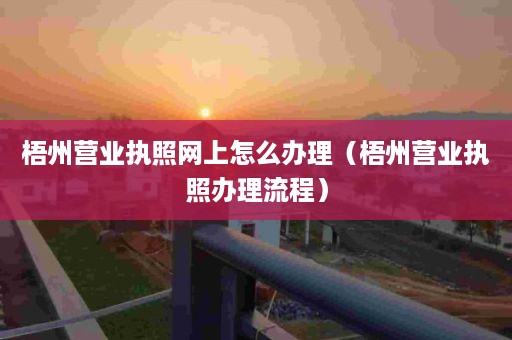 梧州营业执照网上怎么办理（梧州营业执照办理流程）