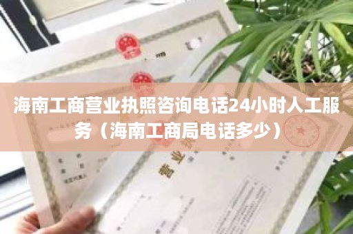 海南工商营业执照咨询电话24小时人工服务（海南工商局电话多少）