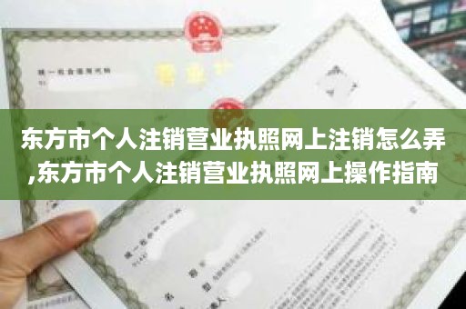 东方市个人注销营业执照网上注销怎么弄,东方市个人注销营业执照网上操作指南