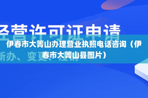 伊春市大箐山办理营业执照电话咨询（伊春市大箐山县图片）