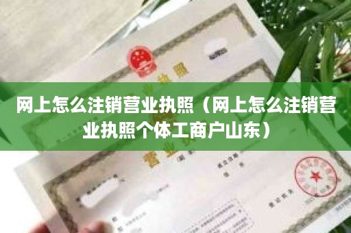 网上怎么注销营业执照（网上怎么注销营业执照个体工商户山东）