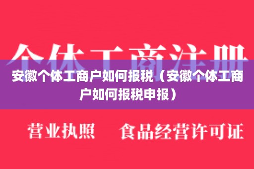 安徽个体工商户如何报税（安徽个体工商户如何报税申报）