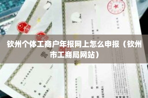 钦州个体工商户年报网上怎么申报（钦州市工商局网站）