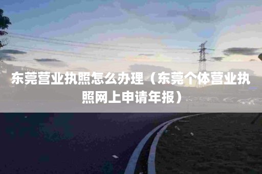 东莞营业执照怎么办理（东莞个体营业执照网上申请年报）