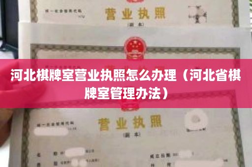 河北棋牌室营业执照怎么办理（河北省棋牌室管理办法）