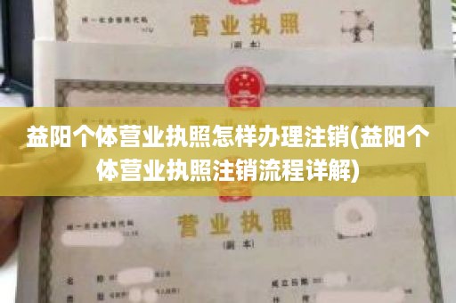 益阳个体营业执照怎样办理注销(益阳个体营业执照注销流程详解)