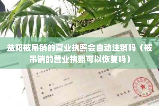 益阳被吊销的营业执照会自动注销吗（被吊销的营业执照可以恢复吗）