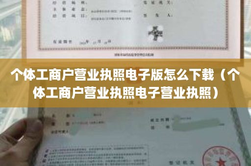 个体工商户营业执照电子版怎么下载（个体工商户营业执照电子营业执照）