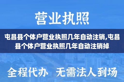 屯昌县个体户营业执照几年自动注销,屯昌县个体户营业执照几年自动注销掉