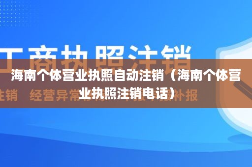 海南个体营业执照自动注销（海南个体营业执照注销电话）