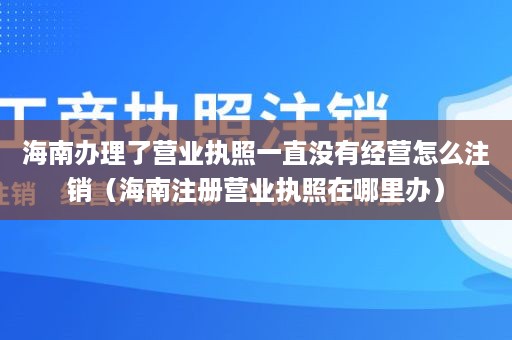 海南办理了营业执照一直没有经营怎么注销（海南注册营业执照在哪里办）