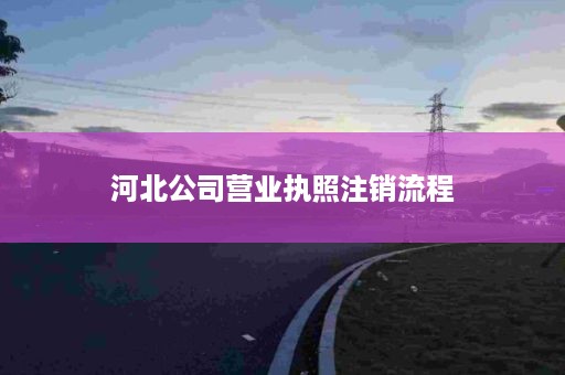 河北公司营业执照注销流程